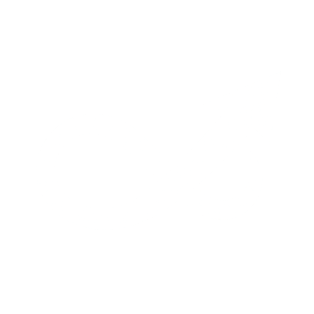 Cash Flow Optimizer